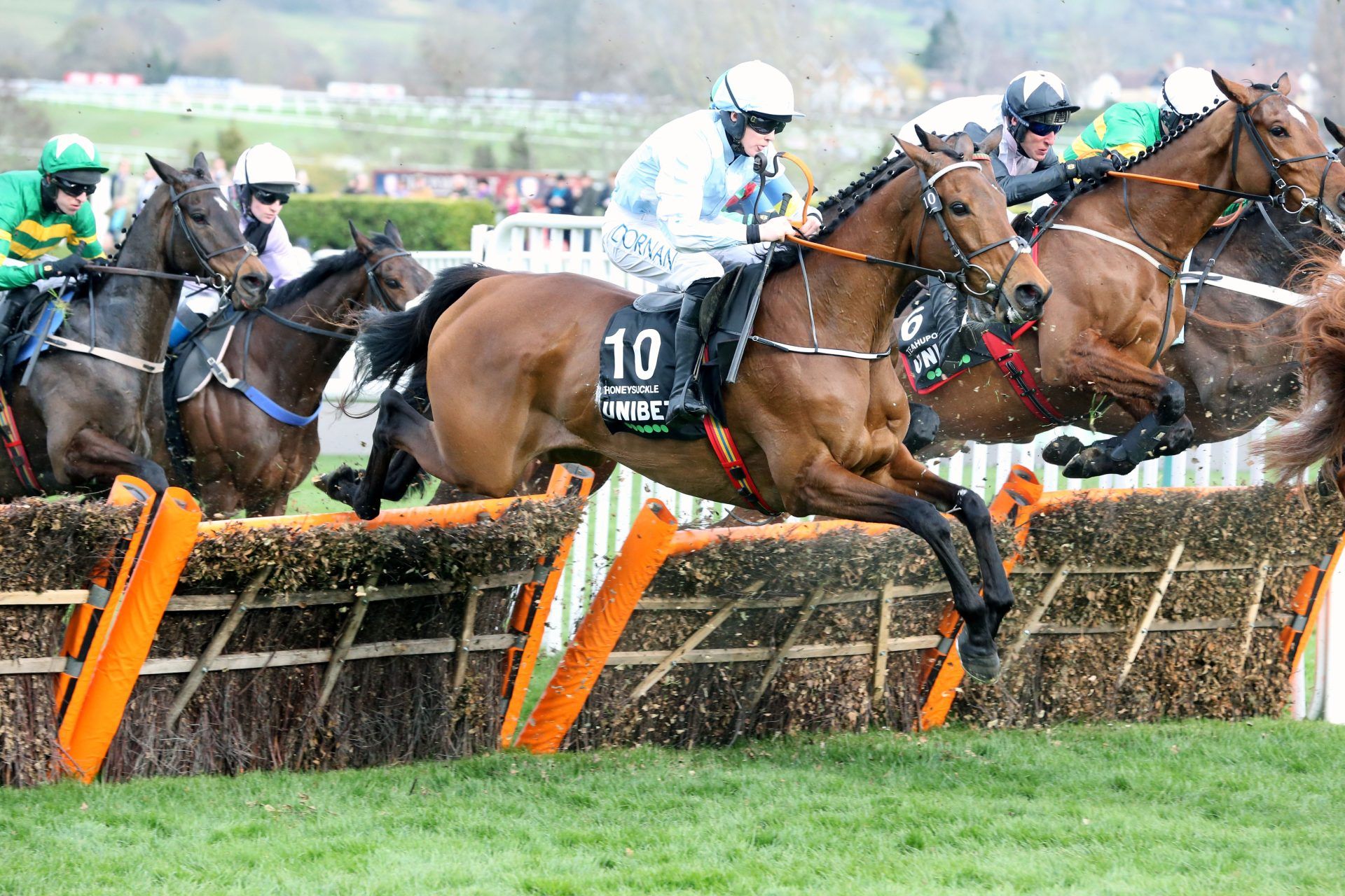 cheltenham race course