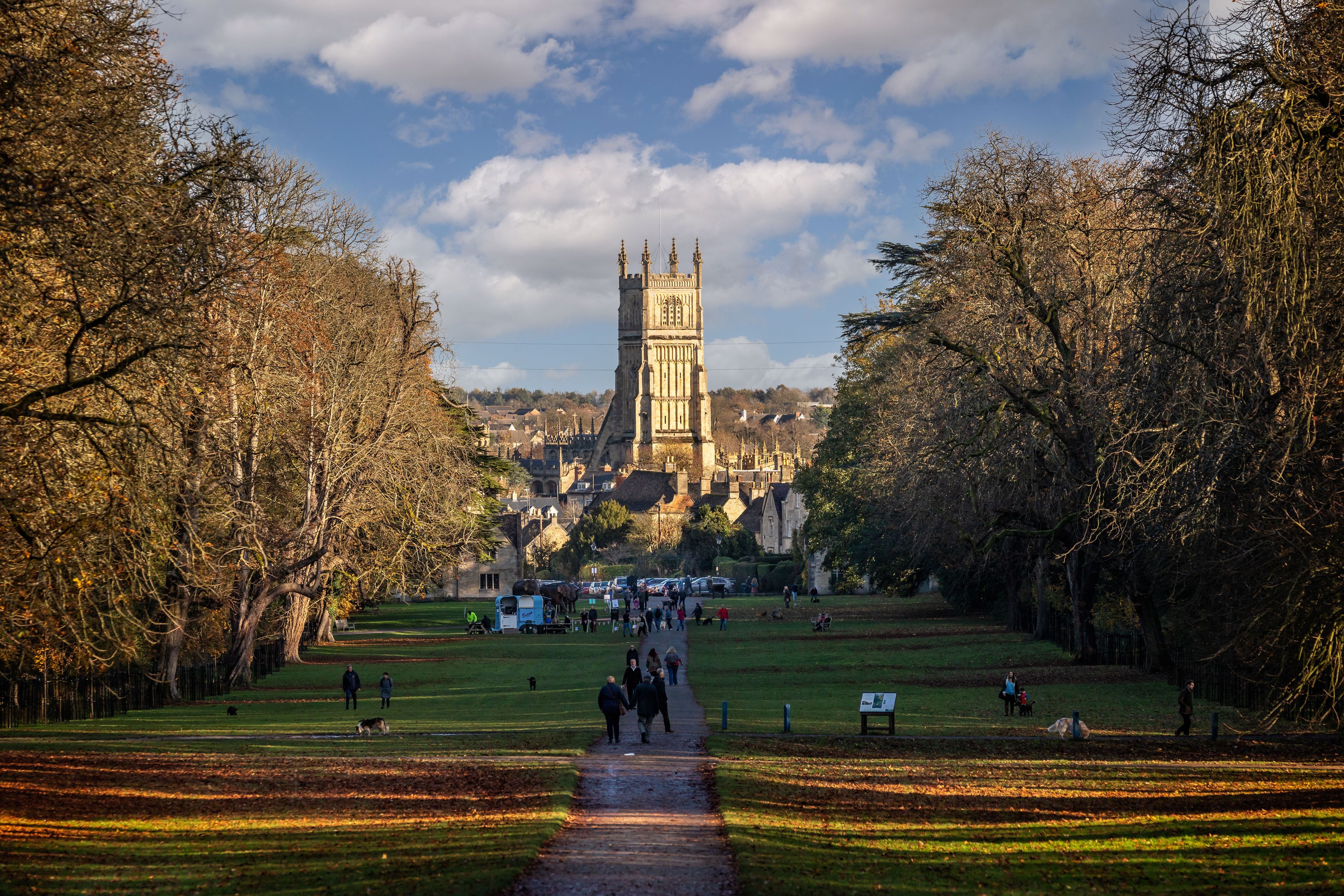 View looking towards St John Baptist Church from the Avenue in Cirencester Park in Cirencester, Gloucestershire,